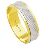 Aliança Bodas em Ouro BP104