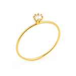 ANM005ZB--2-